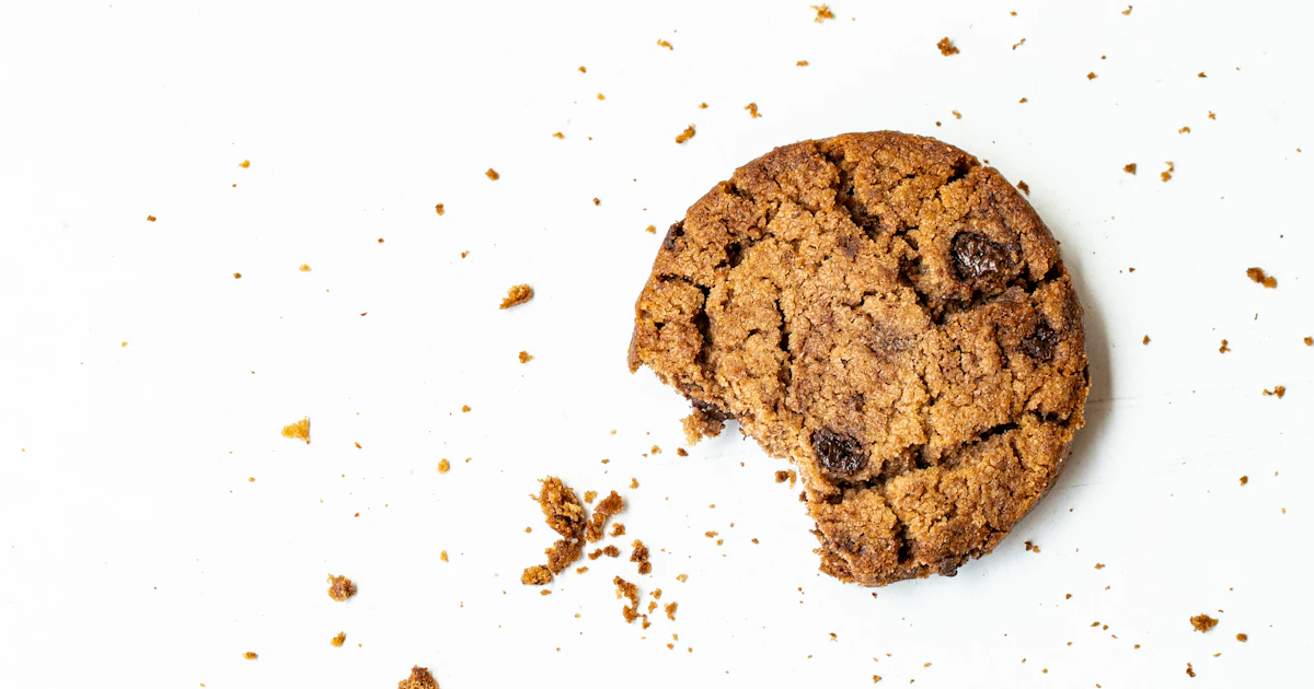Cookie-Banner einbauen in WordPress, Shopify und Wix